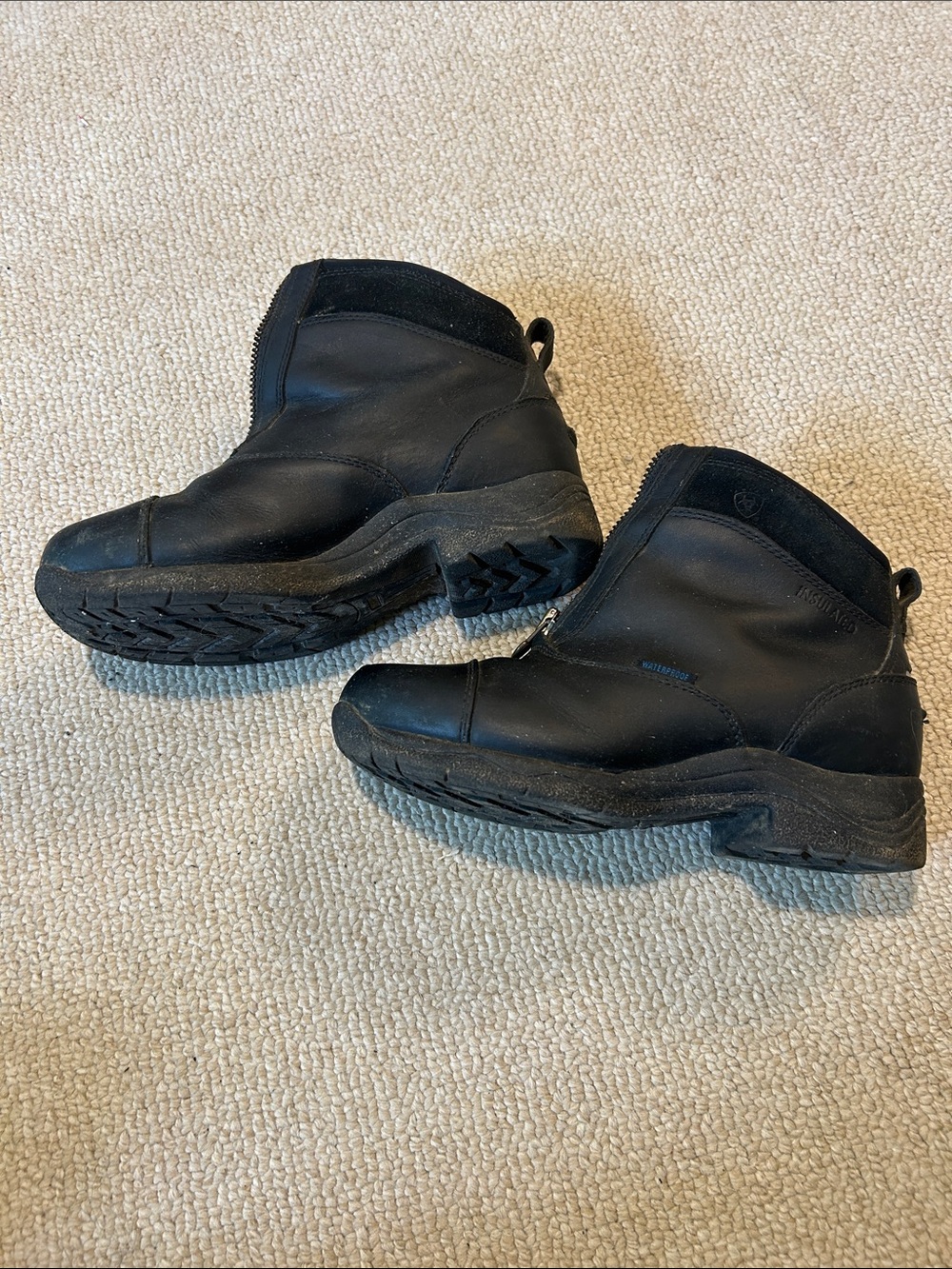 Ariat waterproof insulated paddock boots